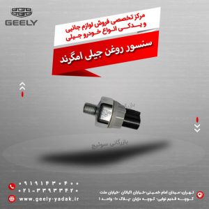 سنسور روغن جیلی امگرند