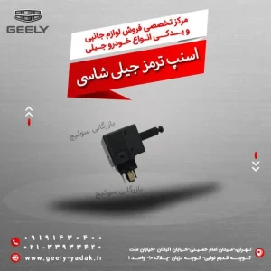 اسنپ ترمز جیلی شاسی