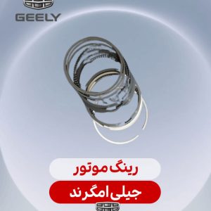 رینگ موتور جیلی امگرند