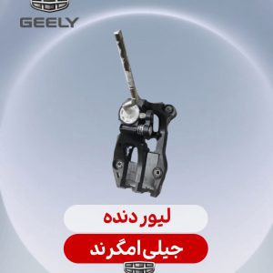 لیور دنده جیلی امگرند