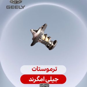 ترموستات جیلی امگرند