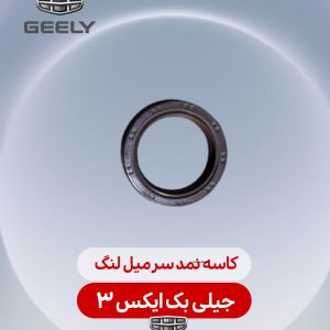 کاسه نمد سر میل لنگ جیلی بک ایکس 3