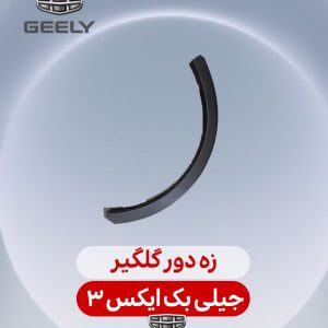زه دور گلگیر بک ایکس 3