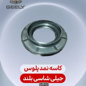 کاسه نمد پلوس جیلی شاسی بلند