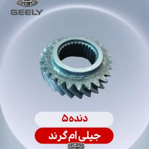 دنده 5 جیلی ام گرند