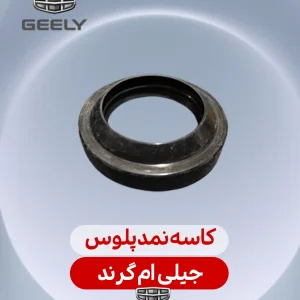 کاسه نمدپلوس جیلی ام گرند